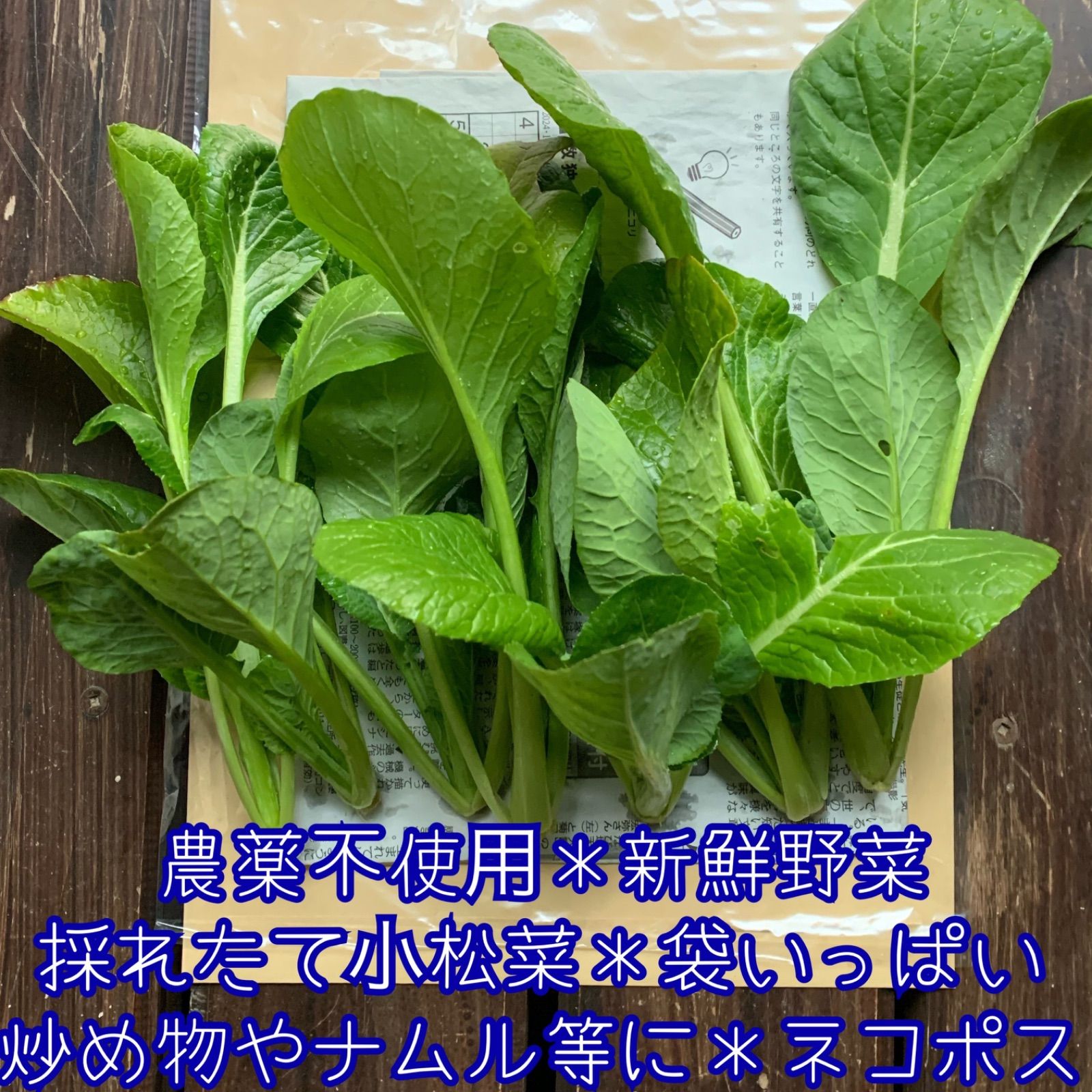 農薬不使用＊新鮮野菜＊採れたて小松菜＊袋いっぱい＊ネコポス＊ - 野菜