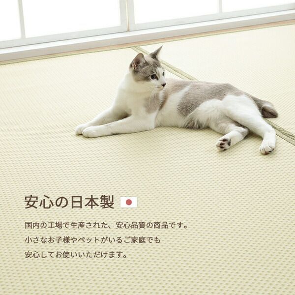 リバーシブル カビ発生しにくい