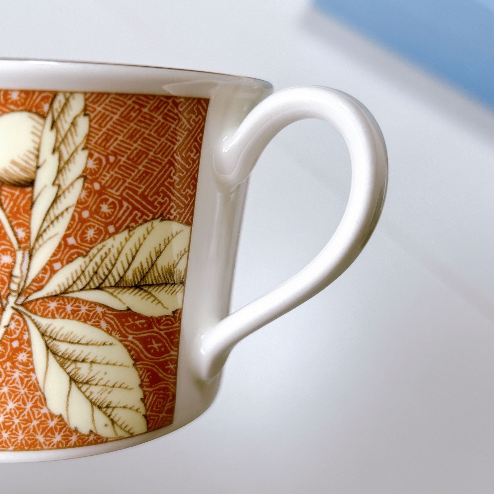 ４客まとめ デルフィーナ