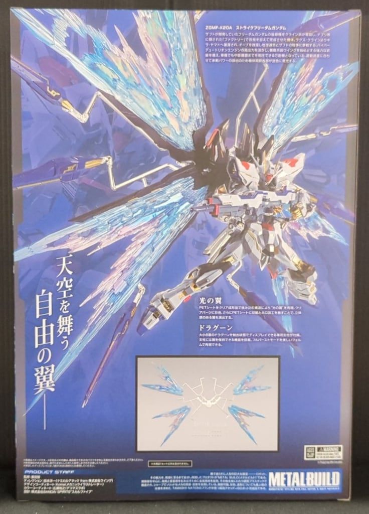 BANDAI SPIRITS METAL BUILD 機動戦士ガンダムSEED DESTINY