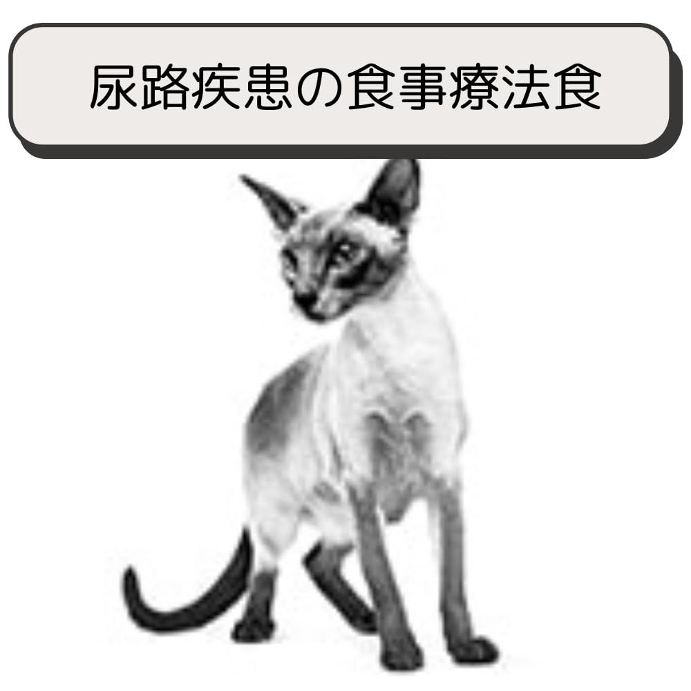 2kg オルファクトリー