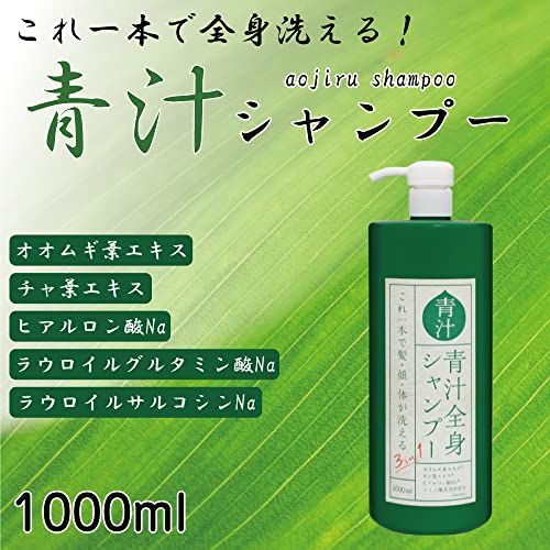 ケース販売】HIRO ヒロ 3in1 青汁全身シャンプーI 1L IT-2108-01