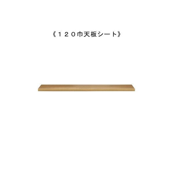 組み合わせが選べる天然木キッチン収納＜システムカウンター　ワイズ_ienowa＞120巾天板シート