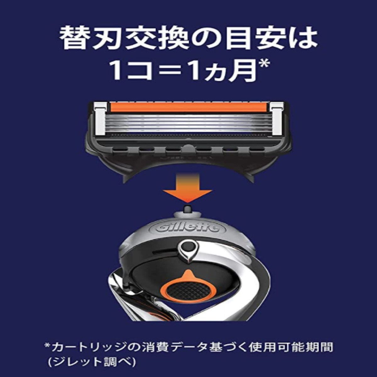 本体