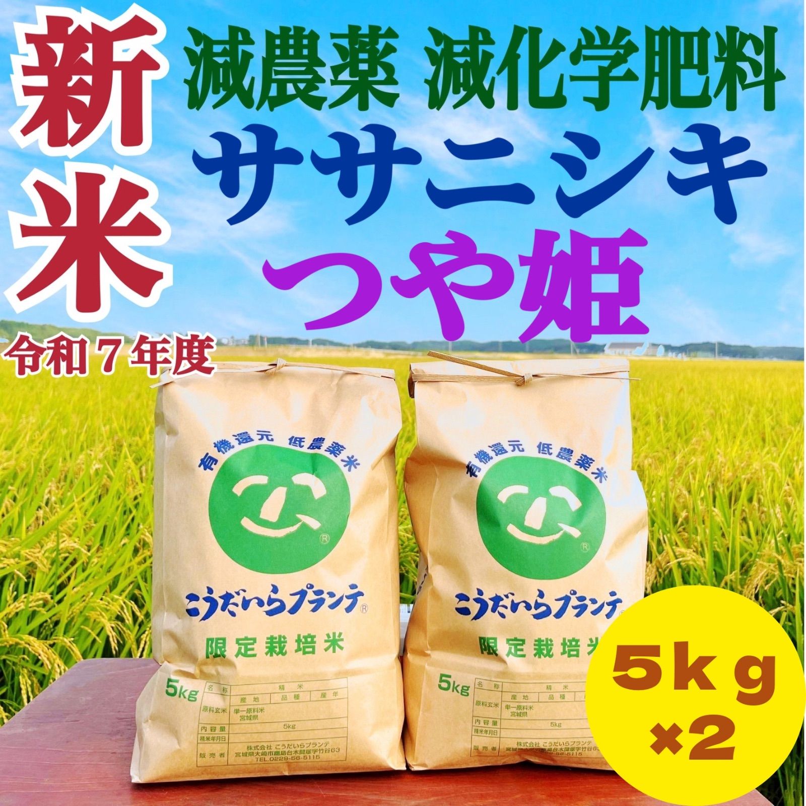新米 令和７年度 農家直送 減農薬米 ササニシキ＆つや姫５ｋｇずつ