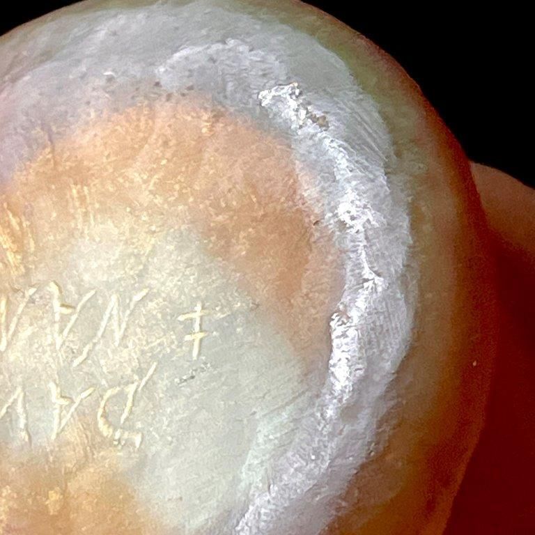 一期一会の大銘品!！ドーム・ナンシー 蜂と葉文花瓶 花器 金彩 Daum