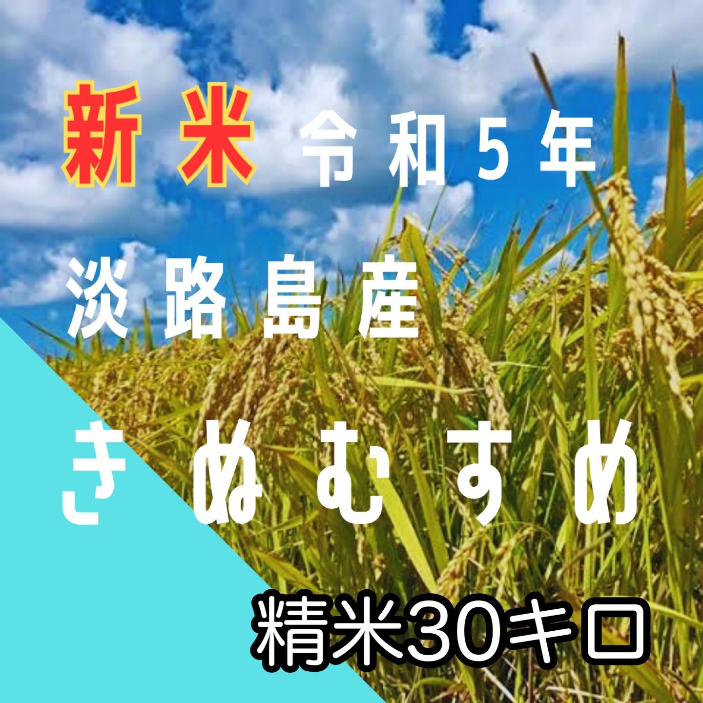 新米 令和5年産 きぬむすめ精米30キロ 淡路島産 産地直送