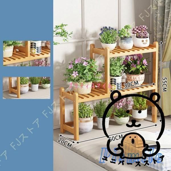観葉植物