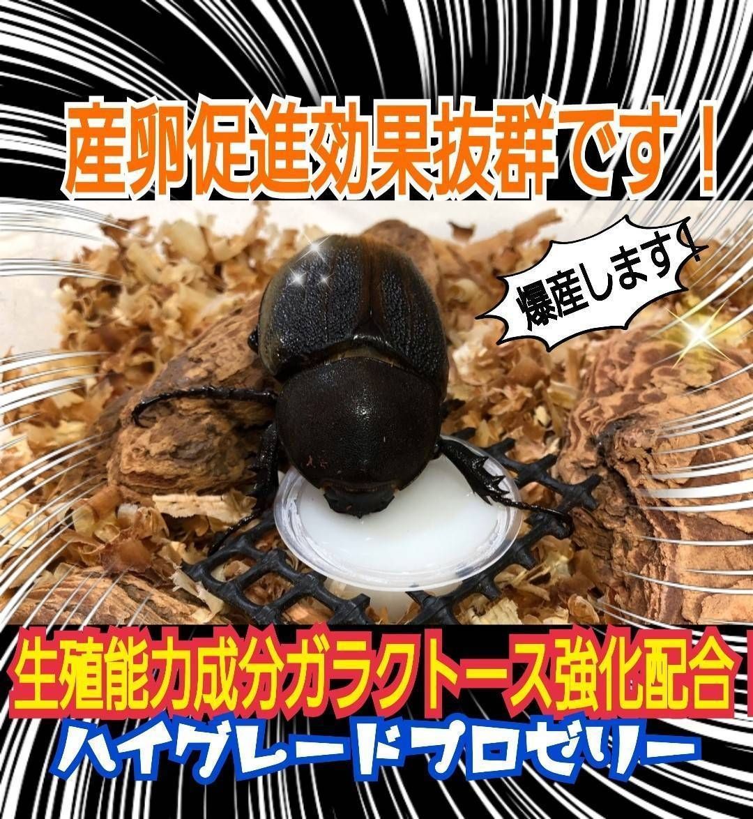 越冬前後の体力増進に抜群