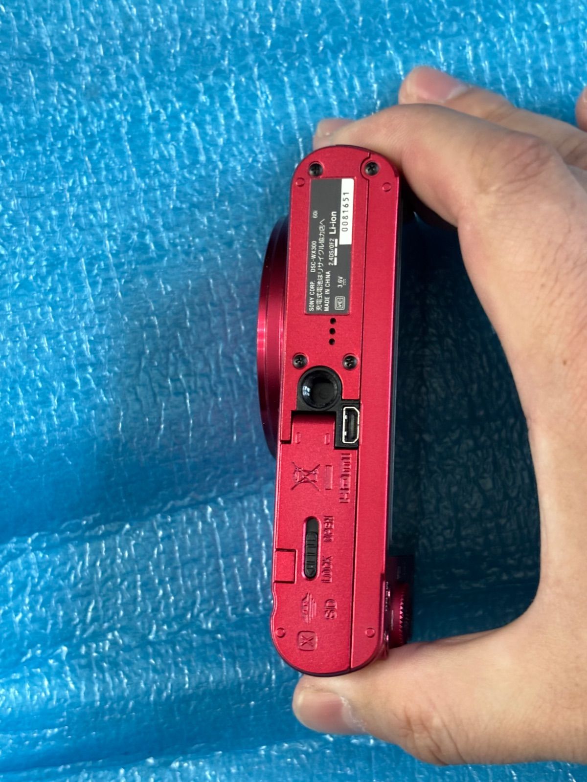 DSC-WX300