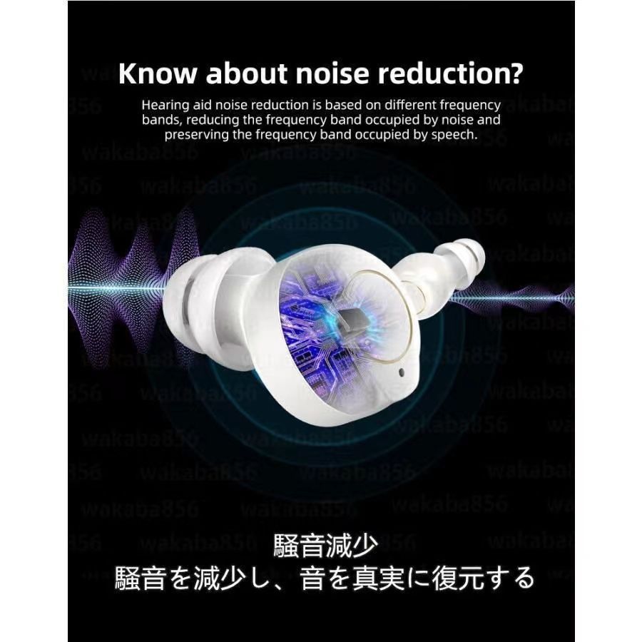左右兼用 デジタル集音器