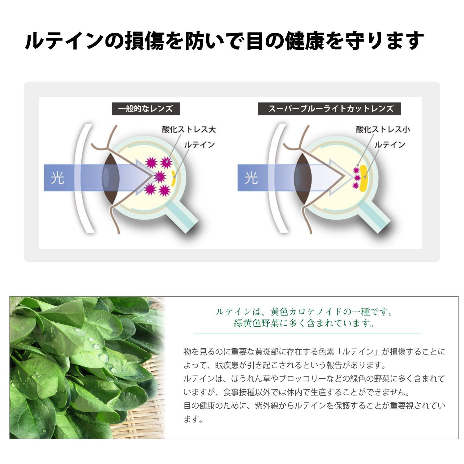 HEV94%カット 度なし
