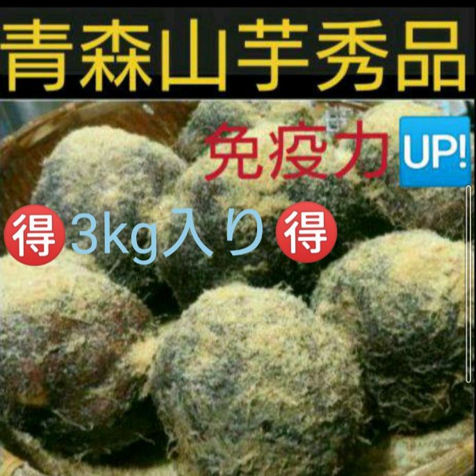 新芋 青森産山の芋秀品?3キロ入り? 山芋