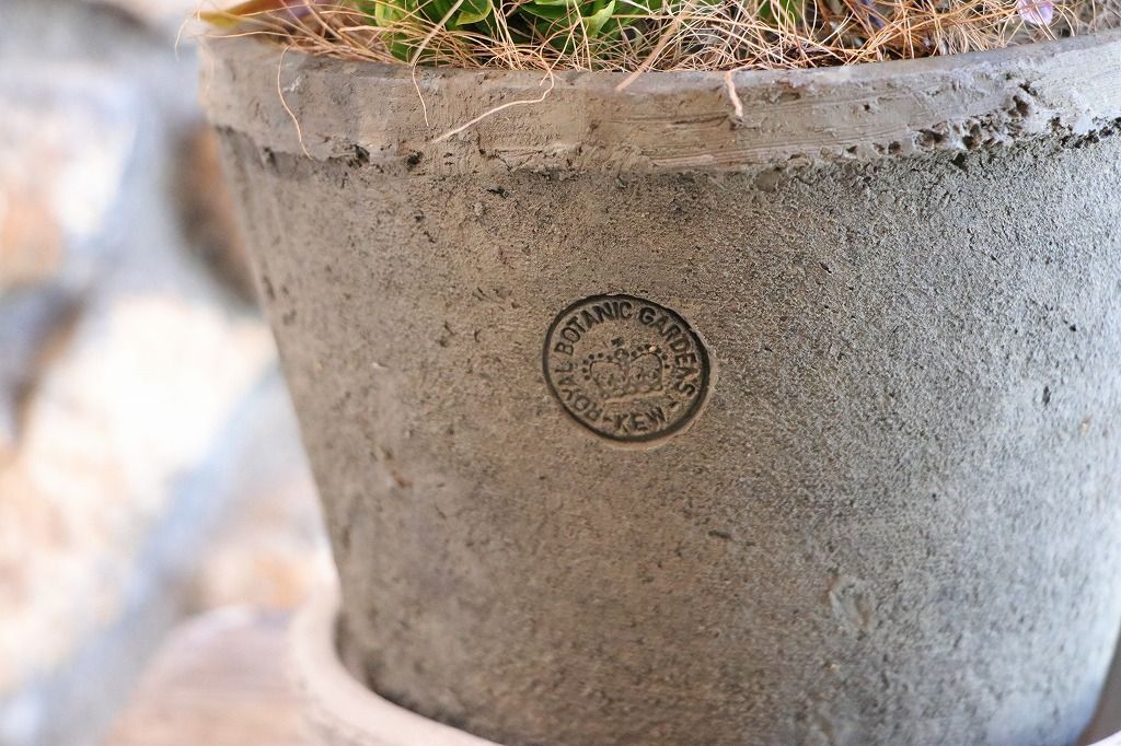 当店オリジナル キューガーデン