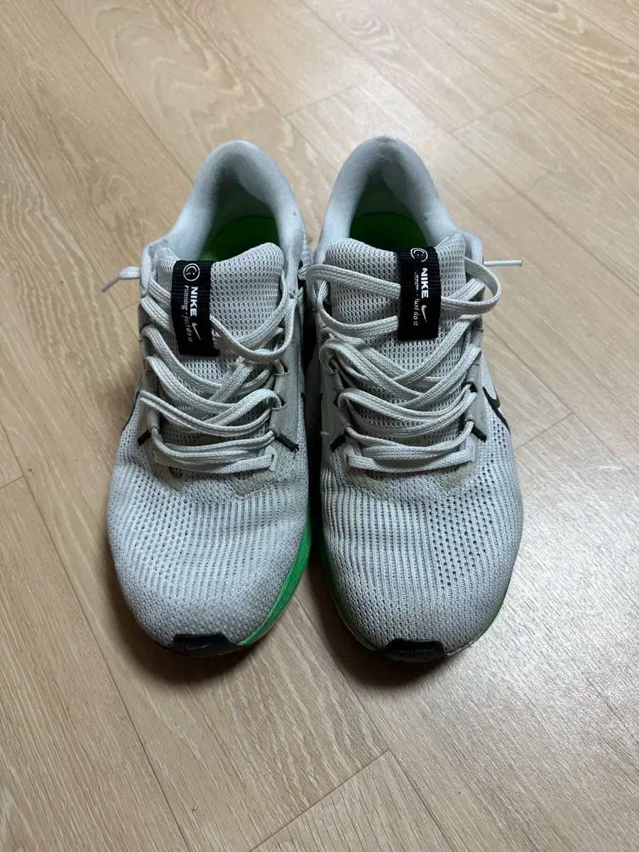 ナイキ ペガサス 40 白 スニーカー