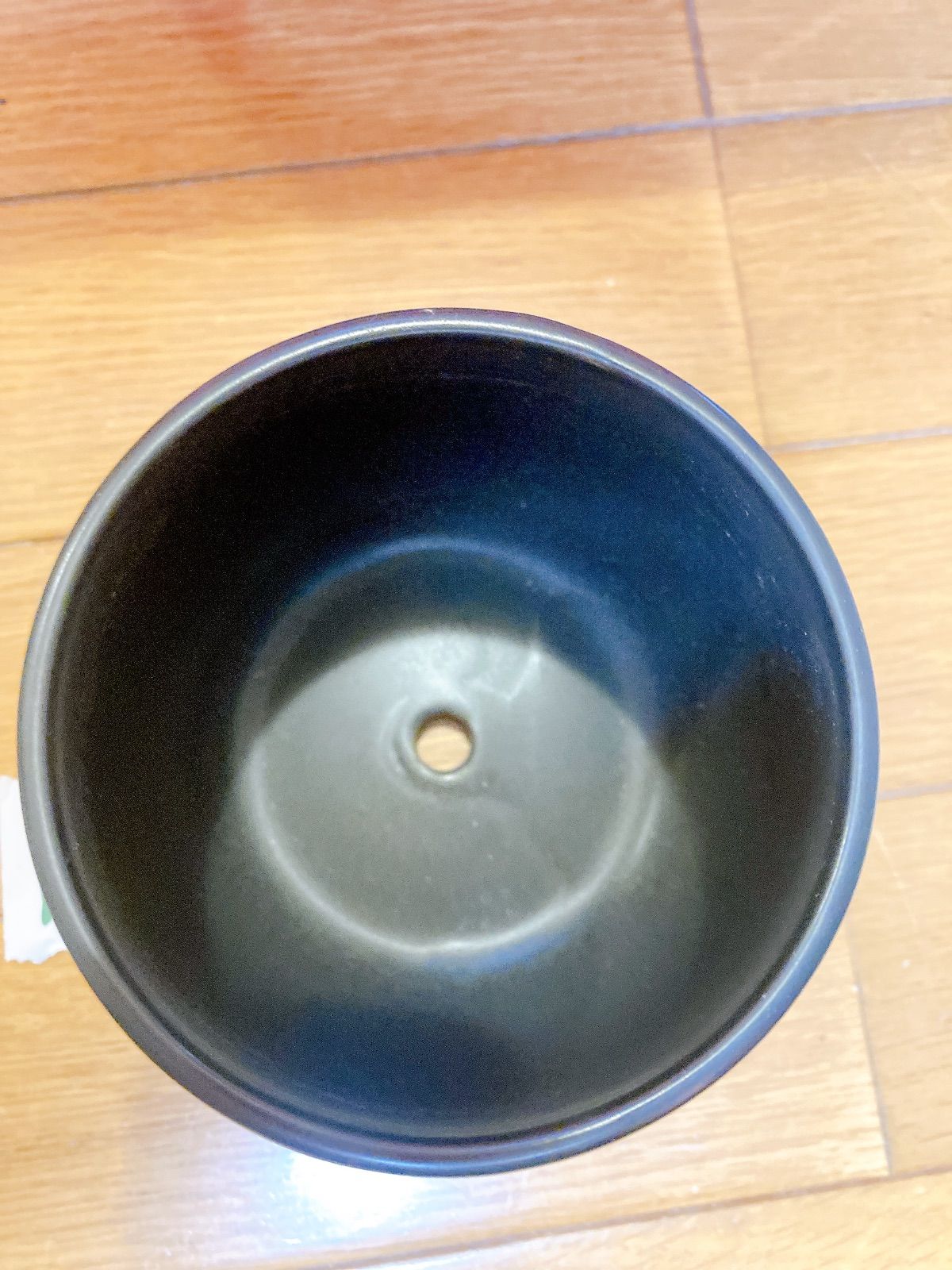 アガベ鉢 ハチ 植木鉢 インテリア 園芸 ガーデニング グラキリス 塊根