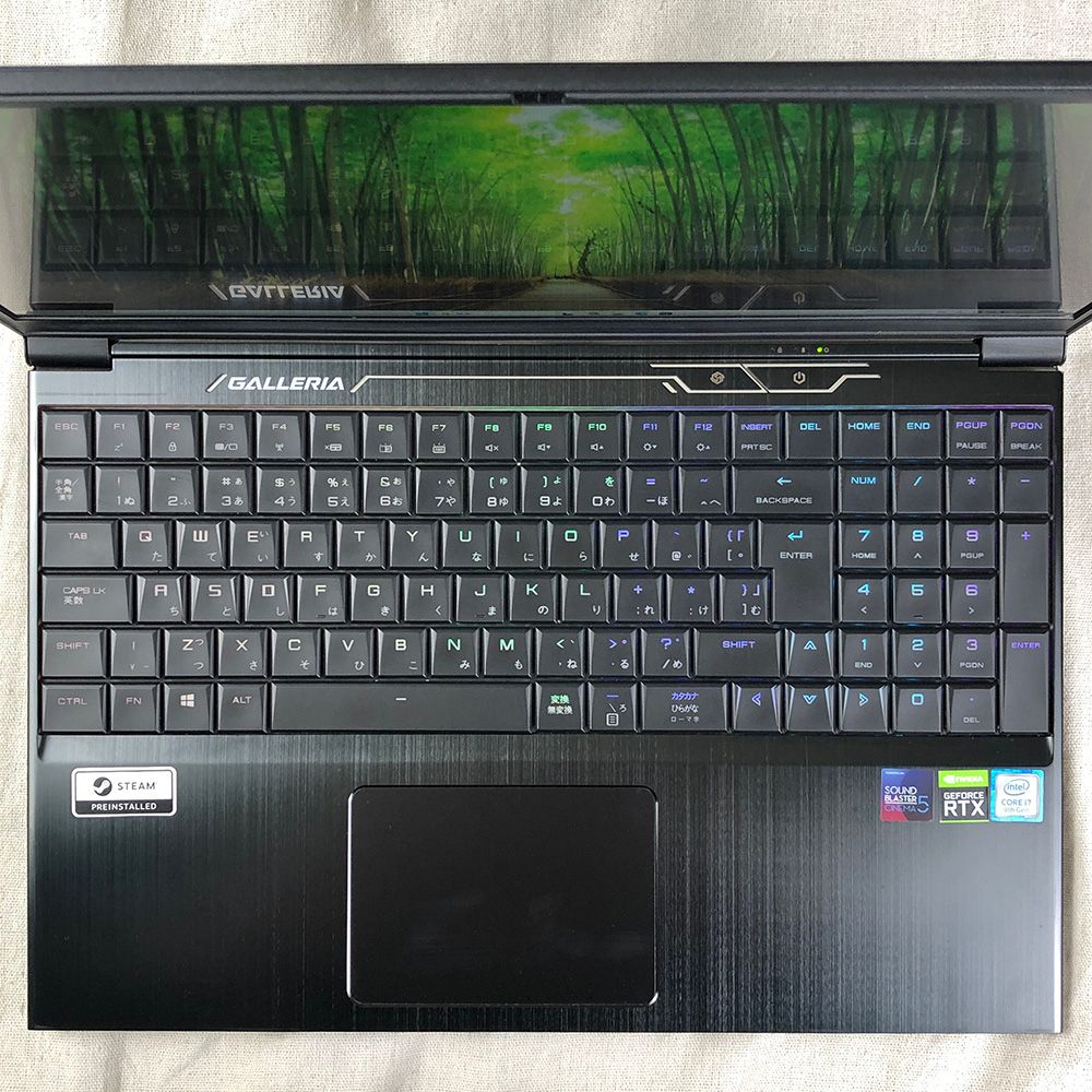 ジャンク GALLERIA GCR2060RGF-E RTX2060 32GB i7-9750H - メルカリ