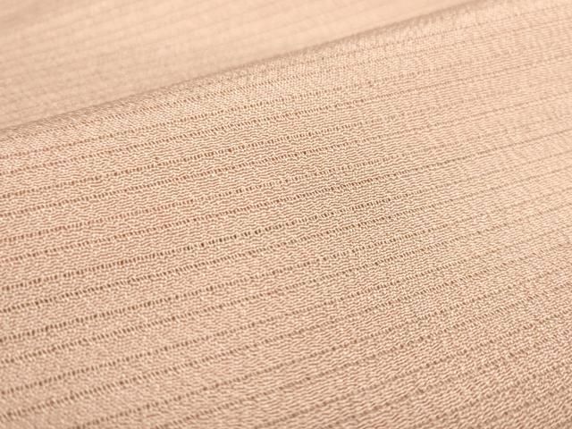 平和屋着物＊夏物 本加賀友禅作家 梶山伸監修 色無地 絽縮緬