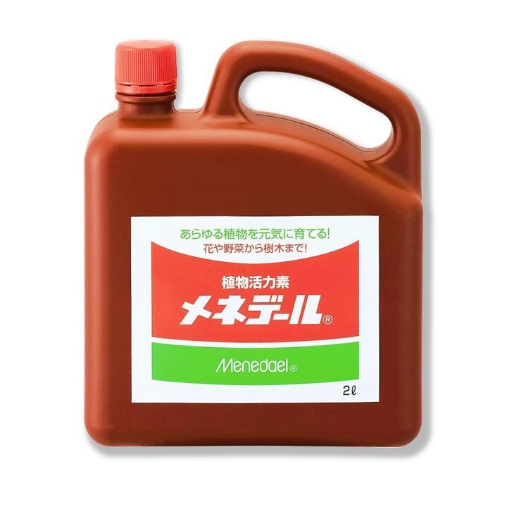 根の成長 弱った植物の回復