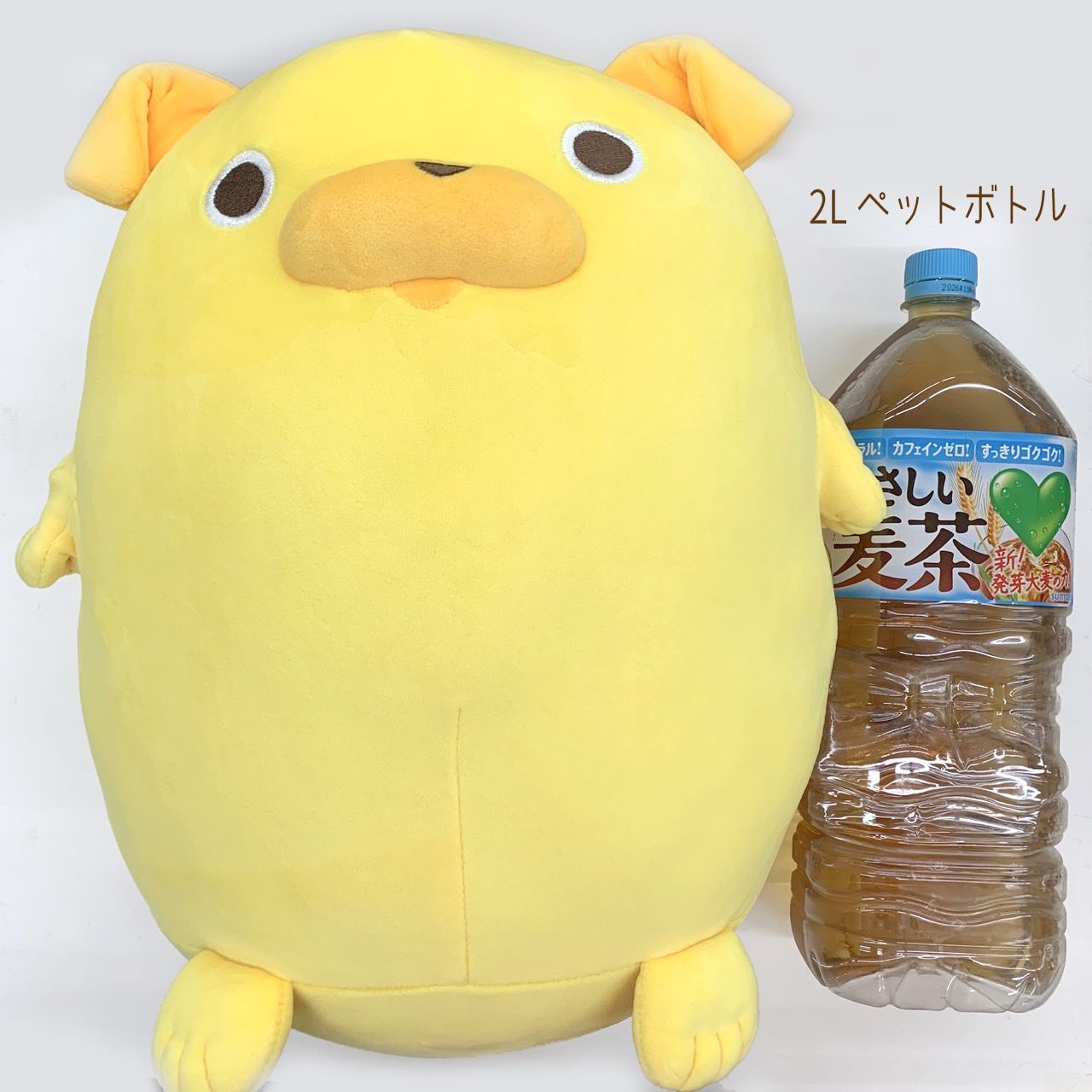 新品】☆パグ太郎☆もちもちパグ太郎ぬいぐるみ 30cm - メルカリ