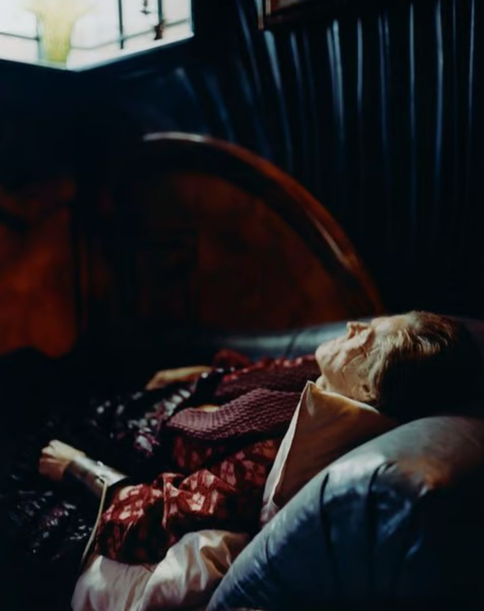 映画「哀れなるものたち」 写真集 DEAR GOD, THE PARTHENON IS