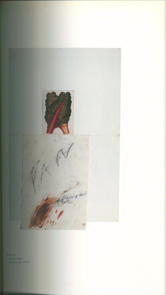 Cy Twombly Fifty Years of Works on Paper