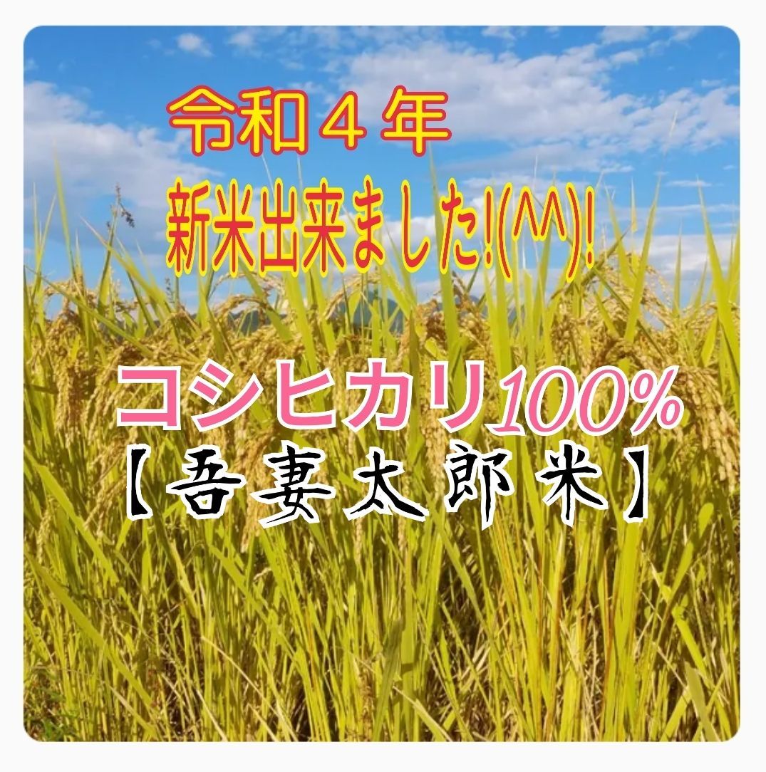 コシヒカリ100％‪☆10kg - 通販 - pinehotel.info‬