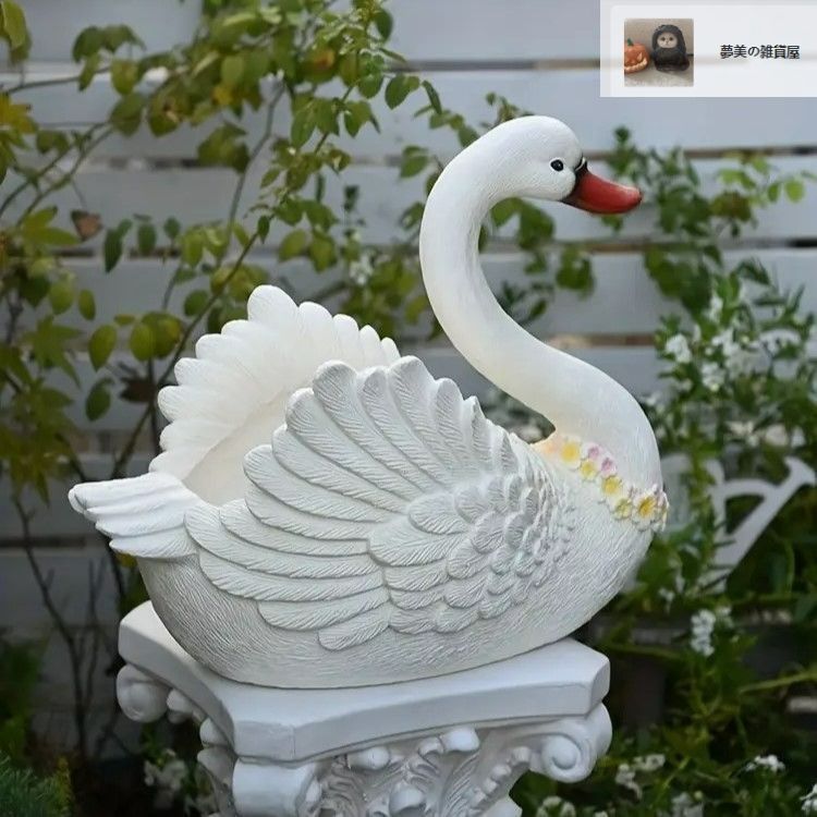 鳥