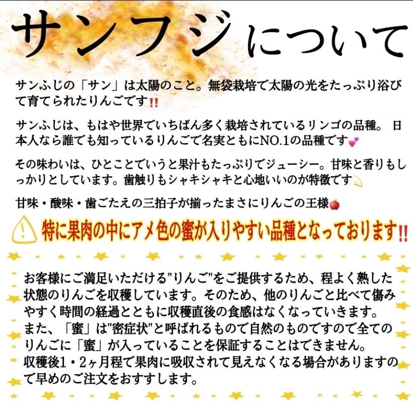 青森県産 サンふじ 北斗 りんご【A品3kg】【送料無料】【農家直送】-2