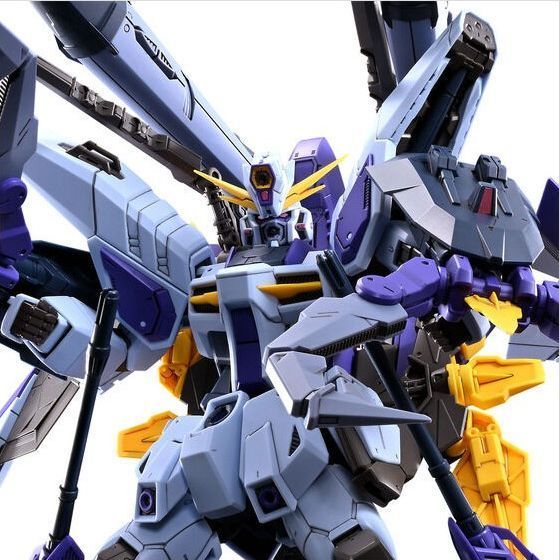 FULL 1 100 ブーストレイダーガンダム バンダイ ガンプラ 未組立 機動戦士ガンダムSEED ECLIPSE