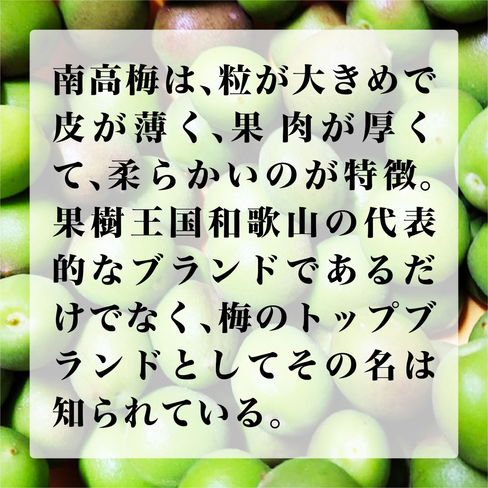 フォロー割】青梅 南高梅 2㎏ 6月上旬よりお届け 和歌山県産 なんこう ...