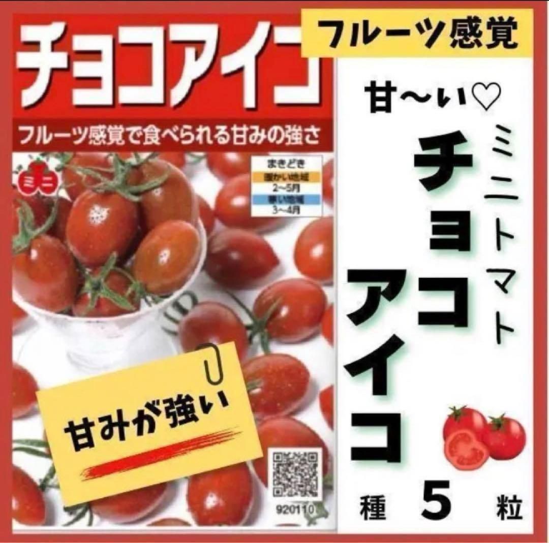 フルーツのような強い甘み♡ミニトマト「チョコアイコ」の種５粒 - 果菜