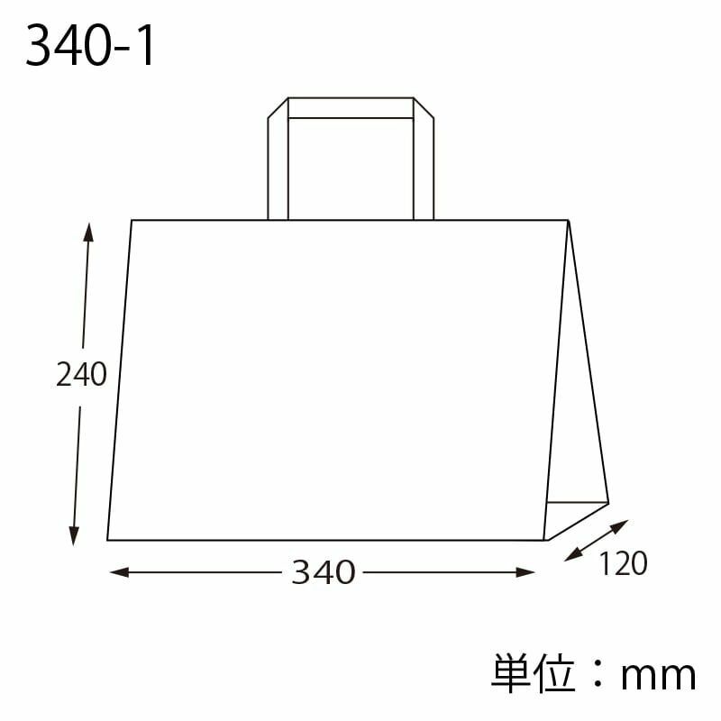 Nフラットチャームバッグ 340-1