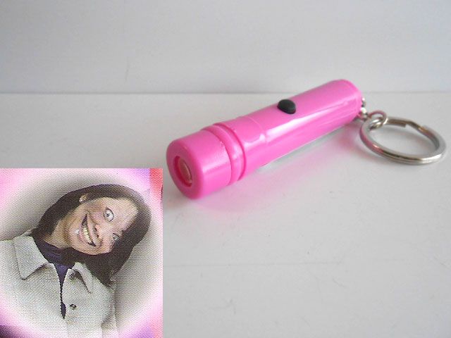 ♯Jui16Dzめっちゃこわ～いライト其の四4全8種ドッキリ心霊現象:♂株式会社 共同♀200円〓014037_c ドウシシャ ＬＥＤ小型ライト １００Ｗ形相当 昼白色 ＥＳＬ