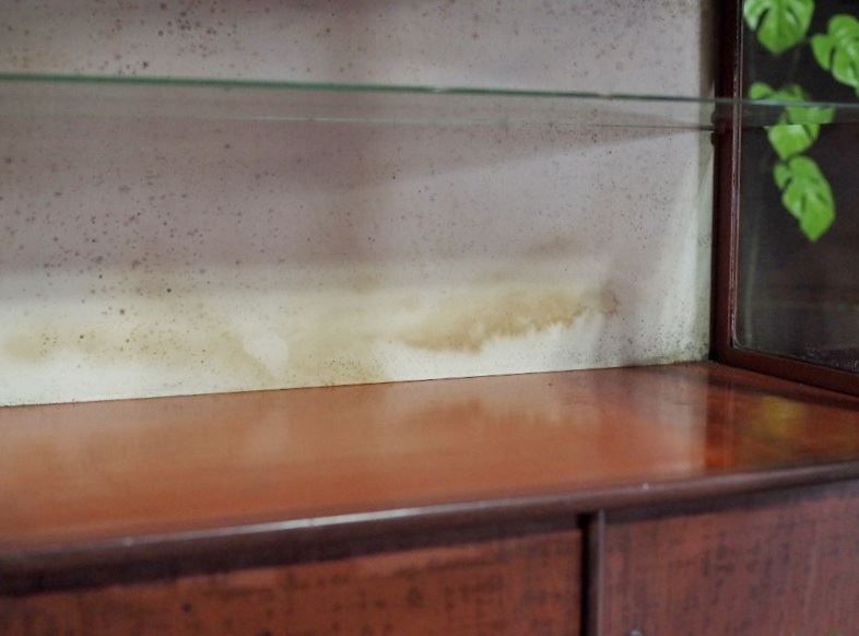 昭和中期 古録展