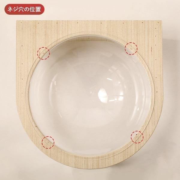 猫用 透明