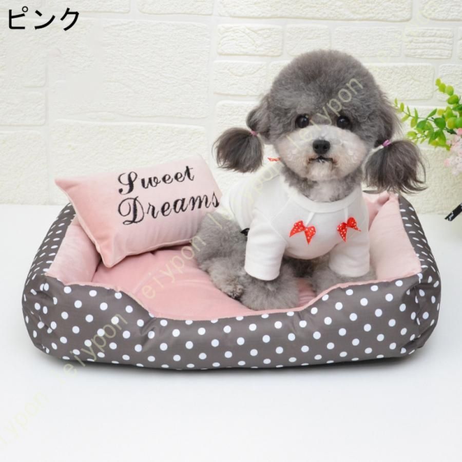 犬 猫
