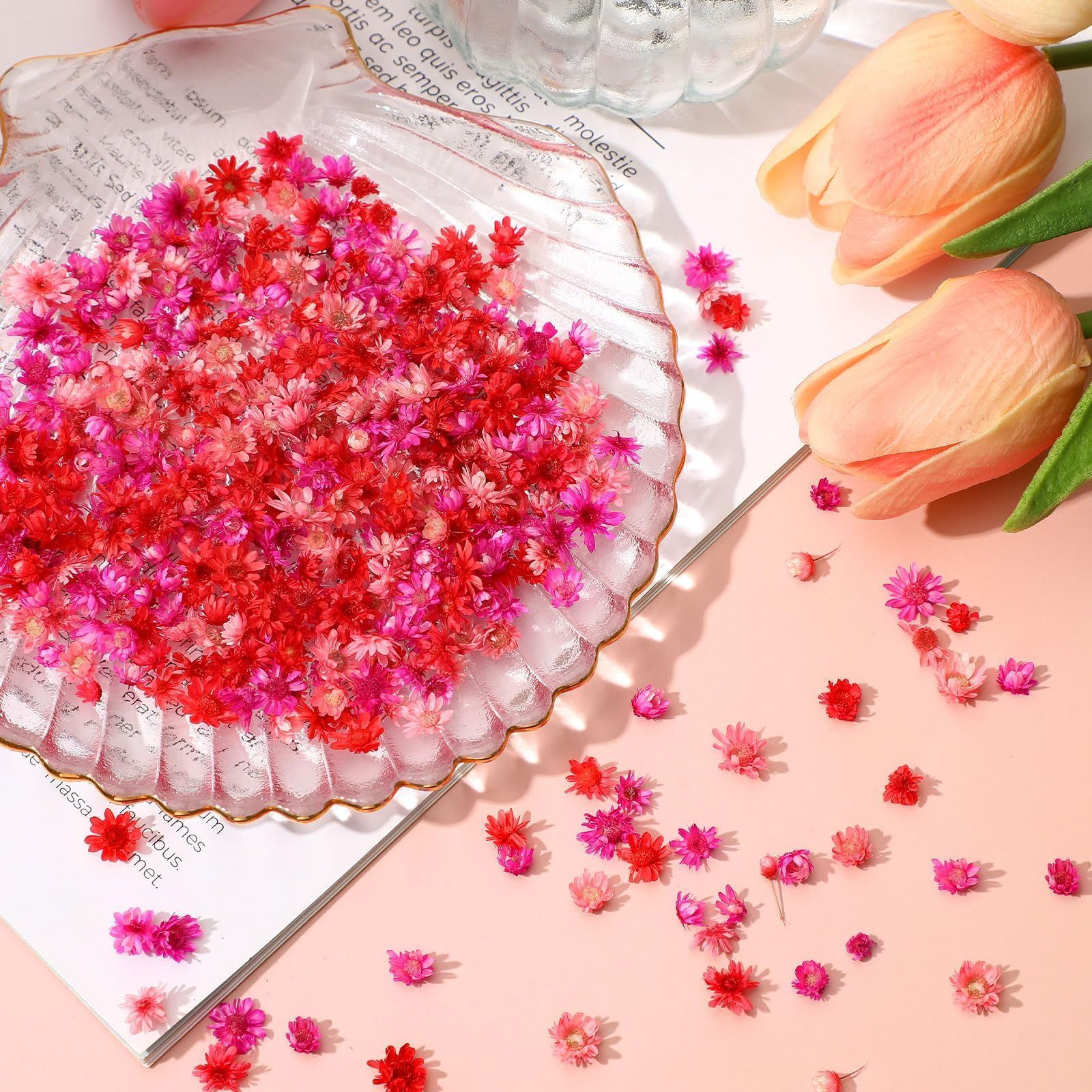 Neiang ドライフラワー レジン用 400個入り 押し花 乾燥シート レジン 