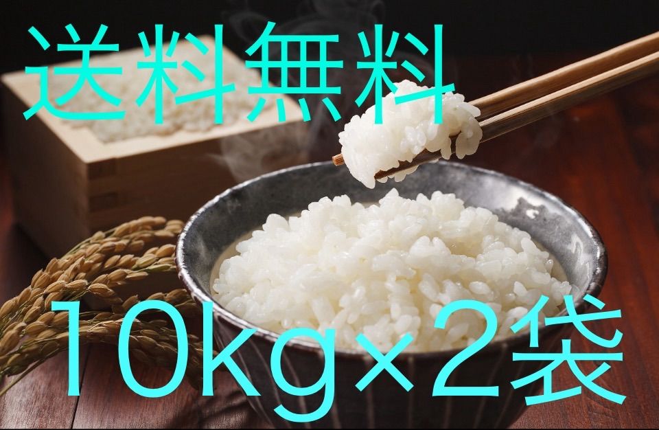 新米 三重県産 伊賀米 コシヒカリ 10kg×2袋 10キロが2つ 合計20キロ