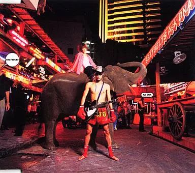 【非売品】『 Ask DNA 』 COWBOY BEBOP カウボーイビバップ 非売品】『 Ask DNA 』 COWBOY BEBOP カウボーイビバップ 非売品