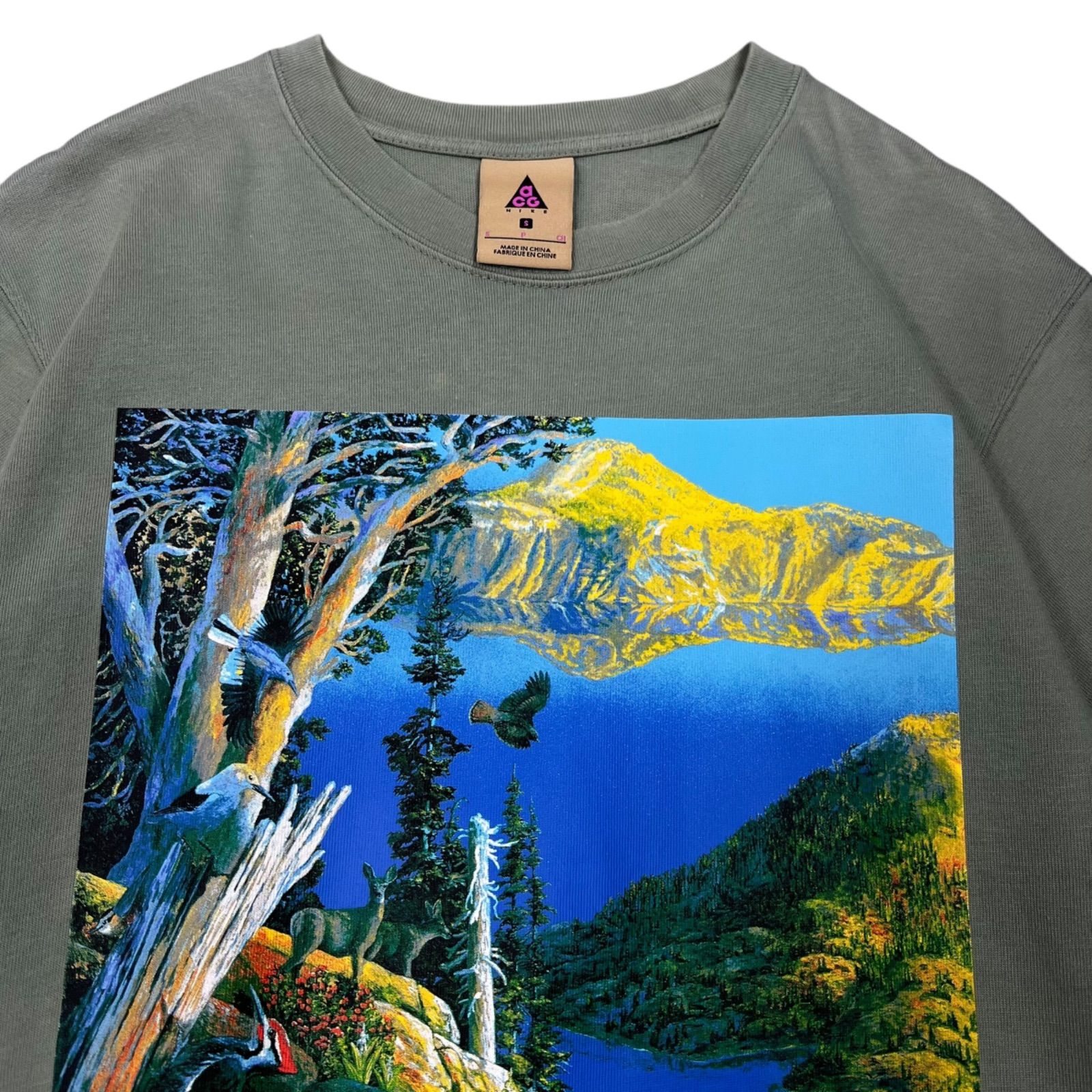 Nike ACG DA4878-365 Crater lake SS Tee ナイキ ショート