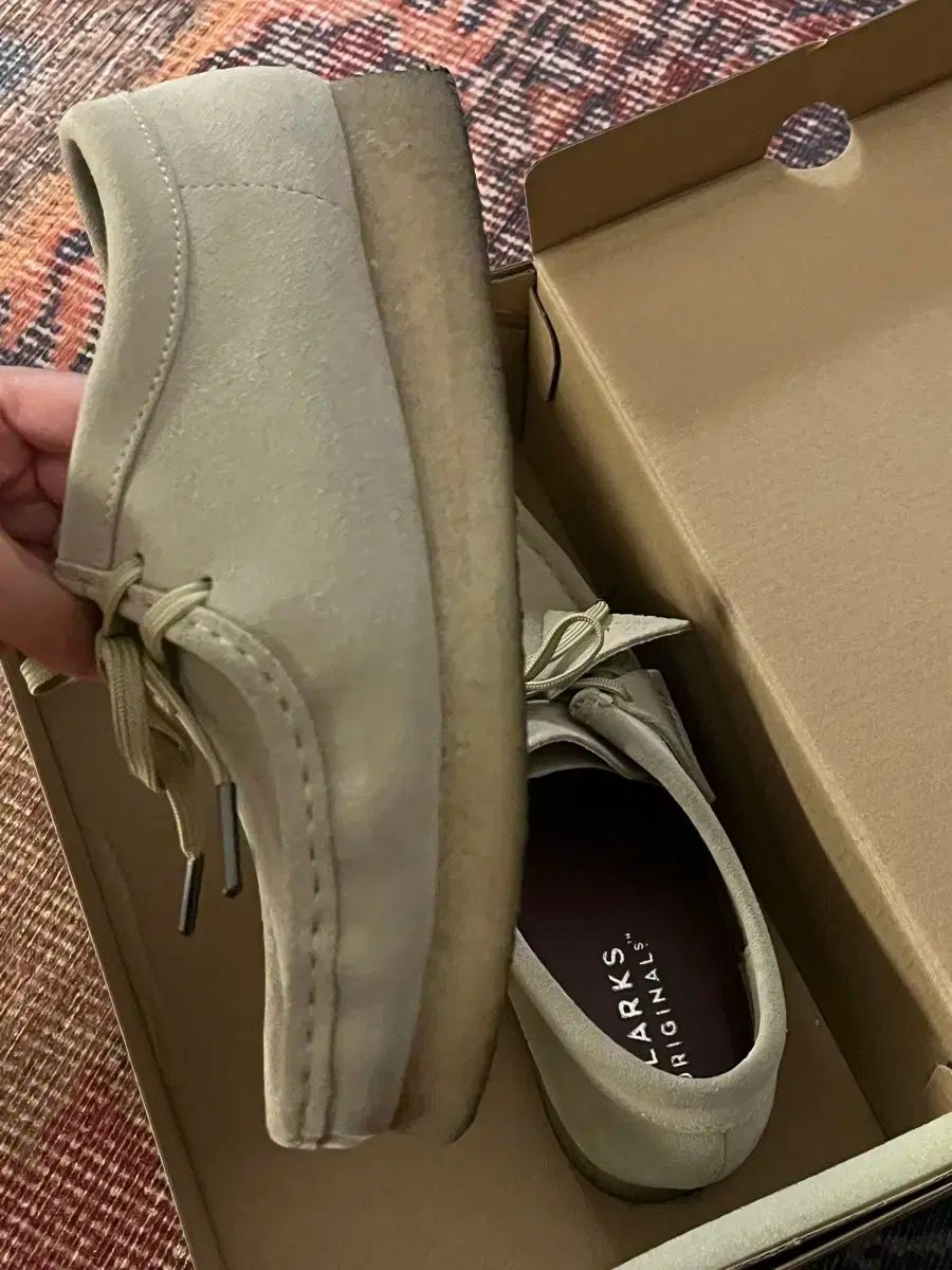 ワラビー メイプル