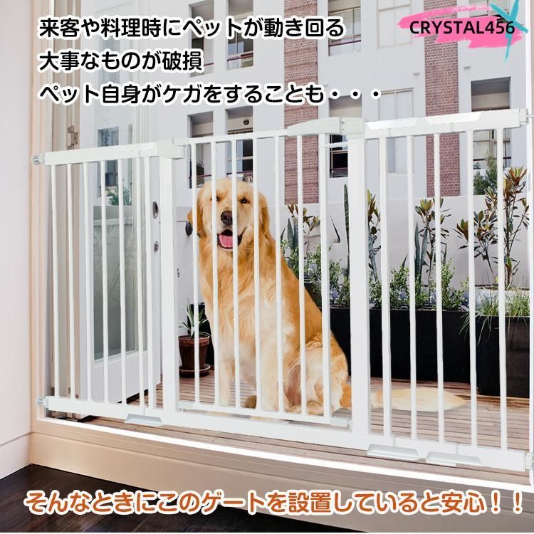 フレーム76最大146室内 扉