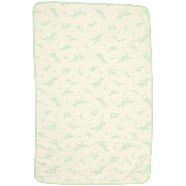 DINOSAURS PICTURE BOOK ブランケット スケーター