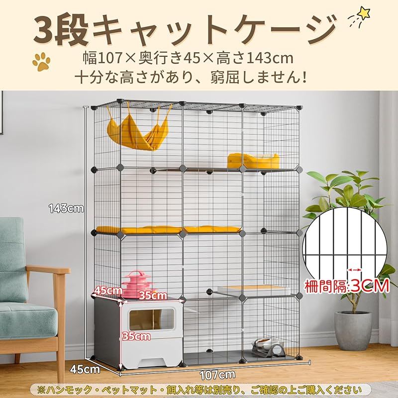 子猫