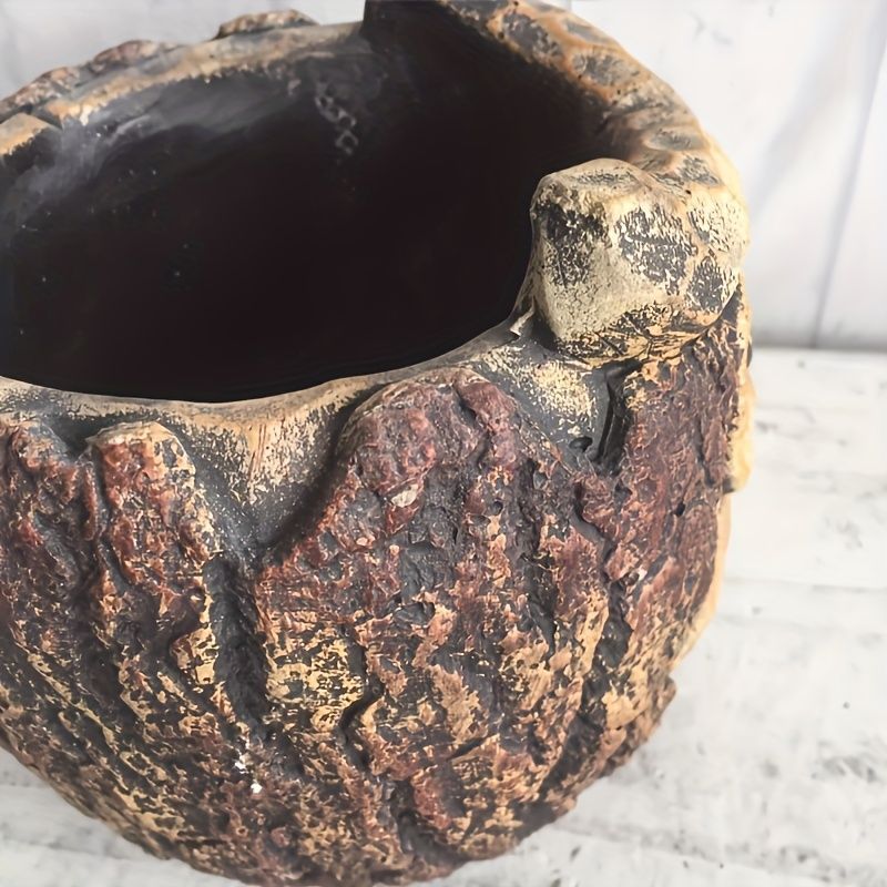 サボテン 観葉植物