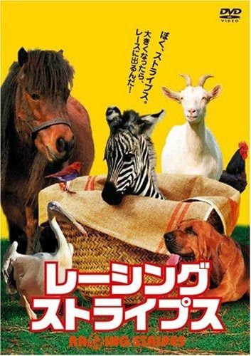 レーシング ストライプス DVD