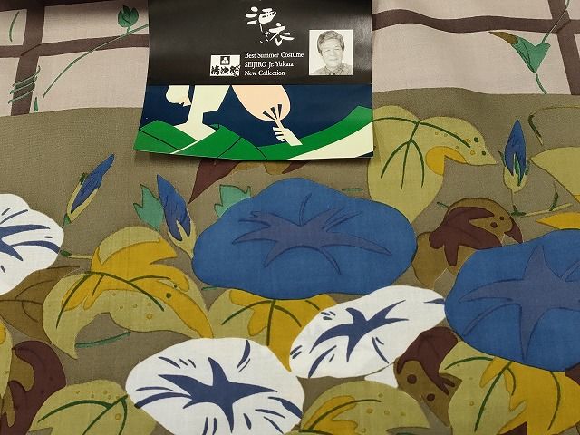 向日葵 朝顔