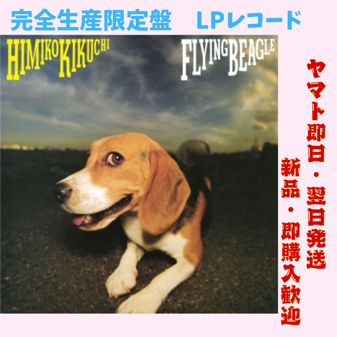 FLYING BEAGLE 菊池ひみこLP レコードジャズシティポップ
