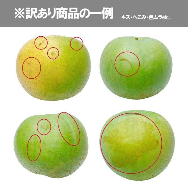 ご家庭用